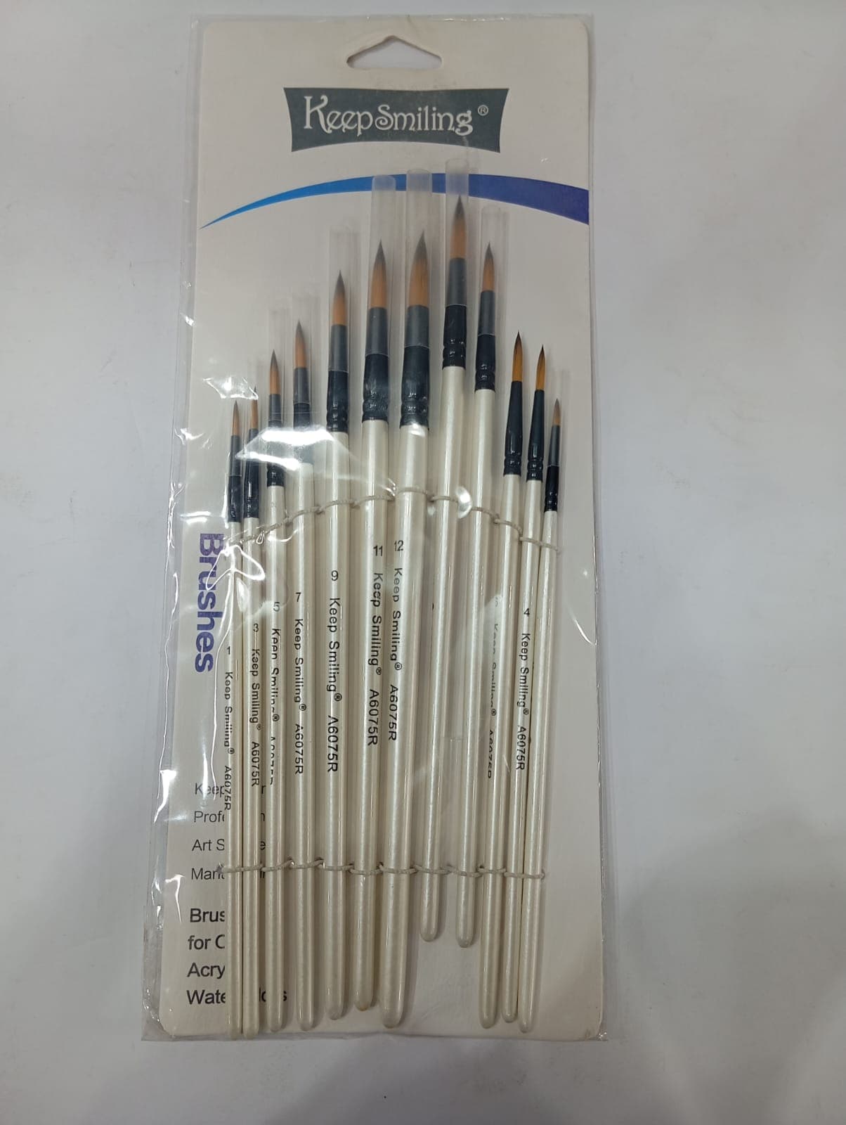 Round Nib Paint Brushes 12 Pieces